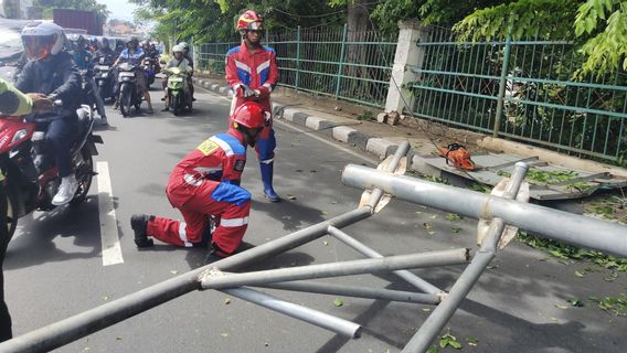 Diterpa Angin Kencang, Pohon dan Tiang Petunjuk Jalan Ambruk di Jalan Raya Bogor, Mobil Sigra dan Honda Beat Rusak