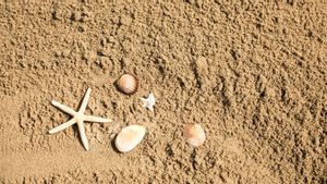 Différemment entre sédiments et sable de mer, ce qui est difficile pour les gens de voir