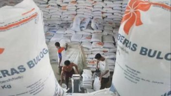 Jokowi Approved The Increase In Rice Prices, This Is The Amount