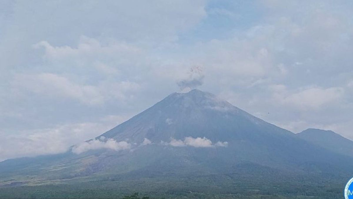 Mount Semeru 2 Times Eruption With An Eruption As High As 800 Meters