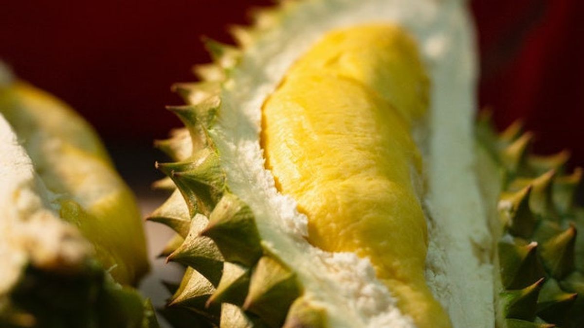 Catat! Ini 4 Manfaat Buah Durian untuk Ibu Hamil 