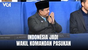 Jaga Perdamaian, Indonesia Jadi Wakil Komandan Pasukan Stabilisasi Gaza