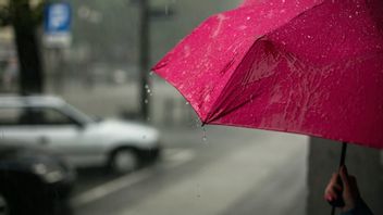BMKG Weather Forecast: A Number Of Big Cities Experience Light Rain Thursday 18 November