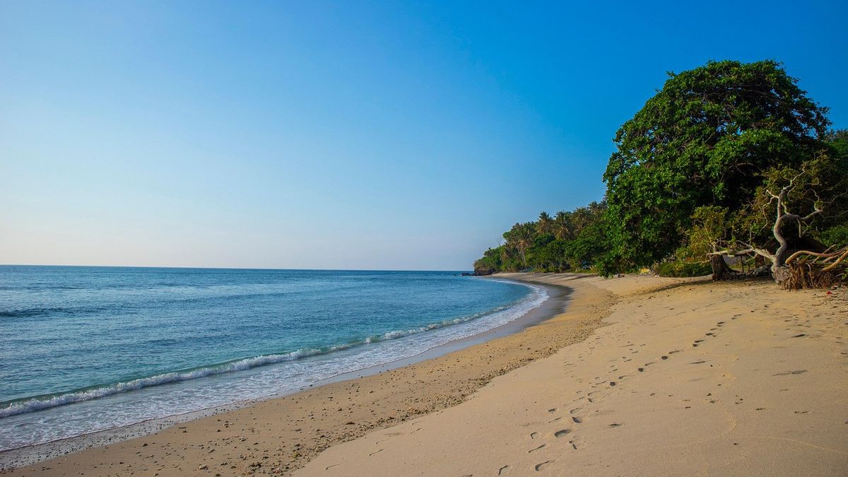 7 recommandations de sites de plage à Malang pendant les vacances de Noël