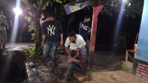 Polisi Temukan Belasan Tanaman Ganja di Kabupaten Sukabumi, Empat Orang Ditangkap
