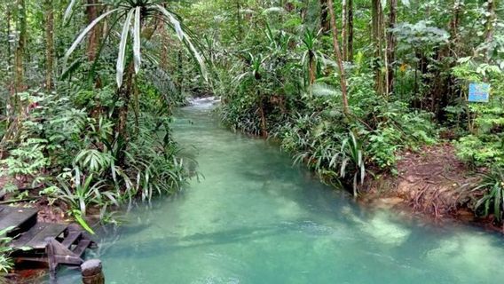 Wapres Ma'ruf Amin Gaungkan Wisata ke Raja Ampat