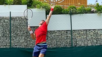 Rekor Steffi Graf Pun Pecah di Tangan Novak Djokovic