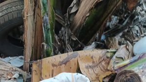 Warga Cipayung Temukan Mayat Bayi Dalam Karung di Bawah Pohon Pisang