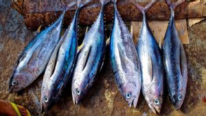 Rekomendasi Ikan yang Mengandung Protein Tinggi, Bagus untuk Membentuk Massa Otot