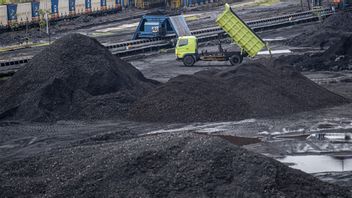 CPO الفحم والحديد والصلب هي الأكثر حصة في الصادرات أبريل