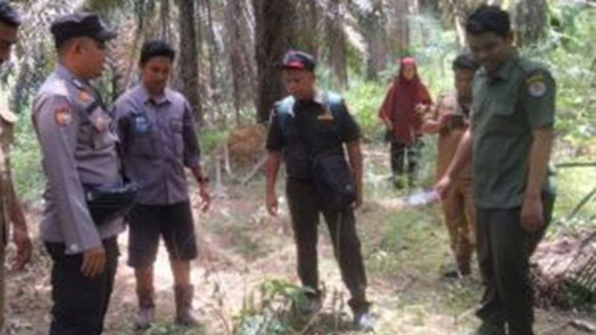 BBKSDA Riau Mitigasi Laporan Warga yang Ternaknya Mati Diduga Dimangsa Harimau