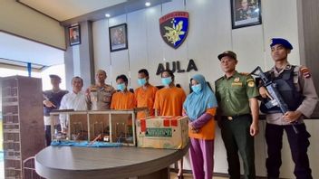4 auteurs de vente d’animaux protégés arrêtés à Banjarmasin, 28 Oiseaux Cucak Ijo sécurisés