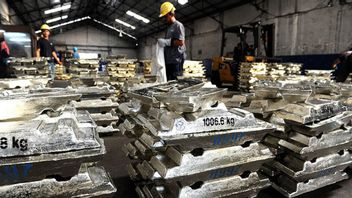 PT Timah يؤكد أن السعر على مستوى مجتمع التعدين الدائم مرتفع