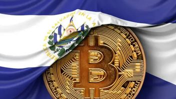 IMF Doesn't Accept El Salvador Using Bitcoin As A Transaction Tool