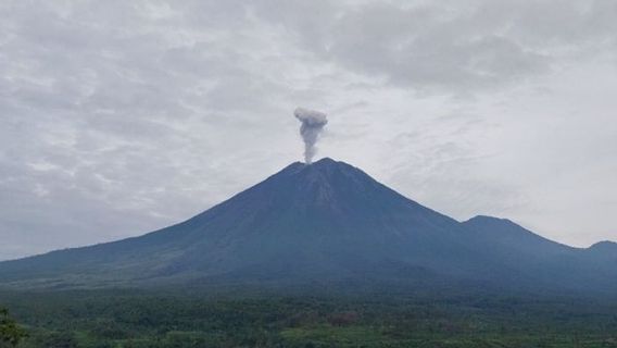 ar, mont Semeru Eruption, Muntahkan Abu jusqu’à 1 km