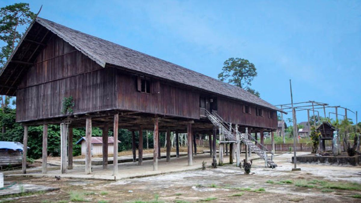 Rumah Adat Khas Kalimantan Tengah: Rumah Panggung  Betang