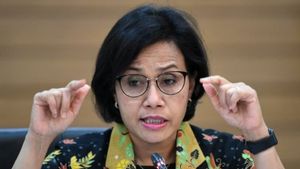 鼓励印度尼西亚共和国经济增长8%,Sri Mulyani:需要结构和转型政策