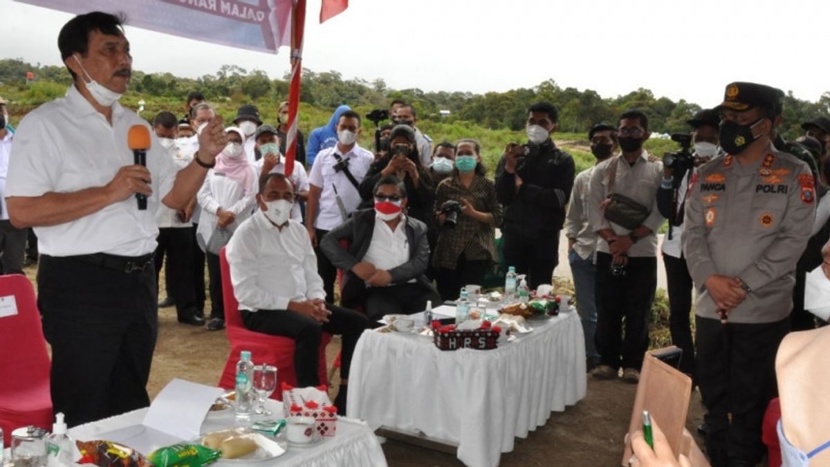 Le Ministre Marves Luhut Pandjaitan Récolte De Pommes De Terre à Humbang Hasundutan Sumut