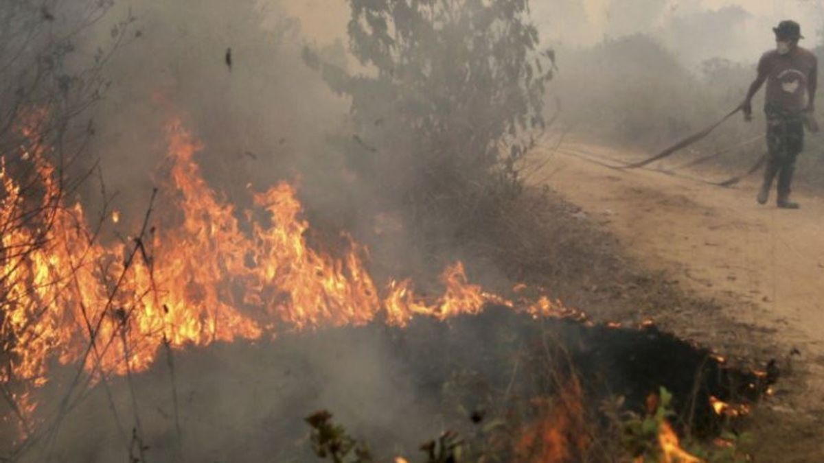 BMKG: Delapan Daerah di NTT Rawan Kebakaran Hutan 