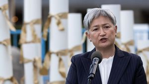 Australia Calls Israel Ambassador, Condemns Minister Ben-Gvir's Action to Force Pro-Palestinian Activists to Kneel