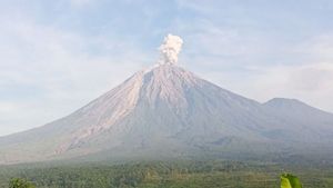 Gunung Semeru 3 Kali Erupsi, Muntahkan Kolom Abu 800 Meter