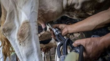 小麦と大豆に加えて、インドネシアは米国からの牛乳輸入機会を開きます