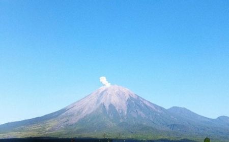 Gunung Semeru Beberapa Kali Erupsi dengan Letusan Hingga 600 Meter