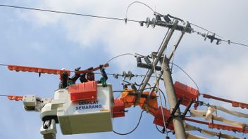 Getting To Know PLN's PDKB Team, Willing To Give Life For Fixed Electricity