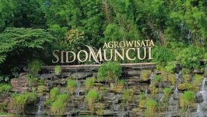 Sido Muncul Telah Turunkan 89 Persen Emisi Karbon pada 2024