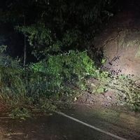 Longsor Terjadi di Sejumlah Wilayah Malang
