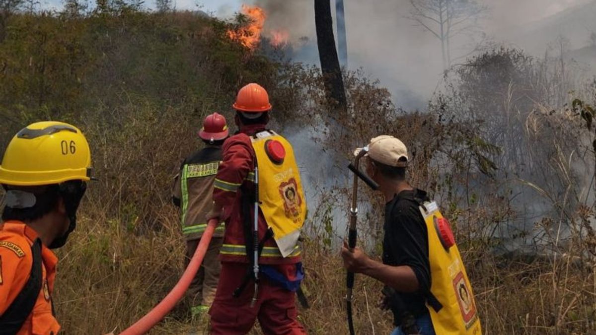 Guntur Garut Forest Fire Successfully Extinguished