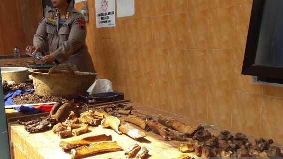 Commotion! Human Bone Found At The Construction Site Of Pringsurat Temanggung Public Health Center