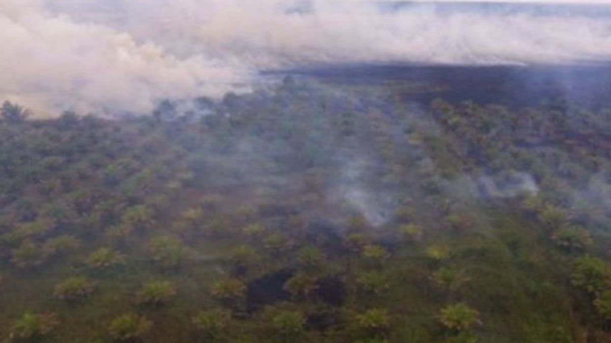 Puan Minta Penanggulangan Karhutla Dilakukan Secara Efektif, Termasuk di Gunung Arjuno