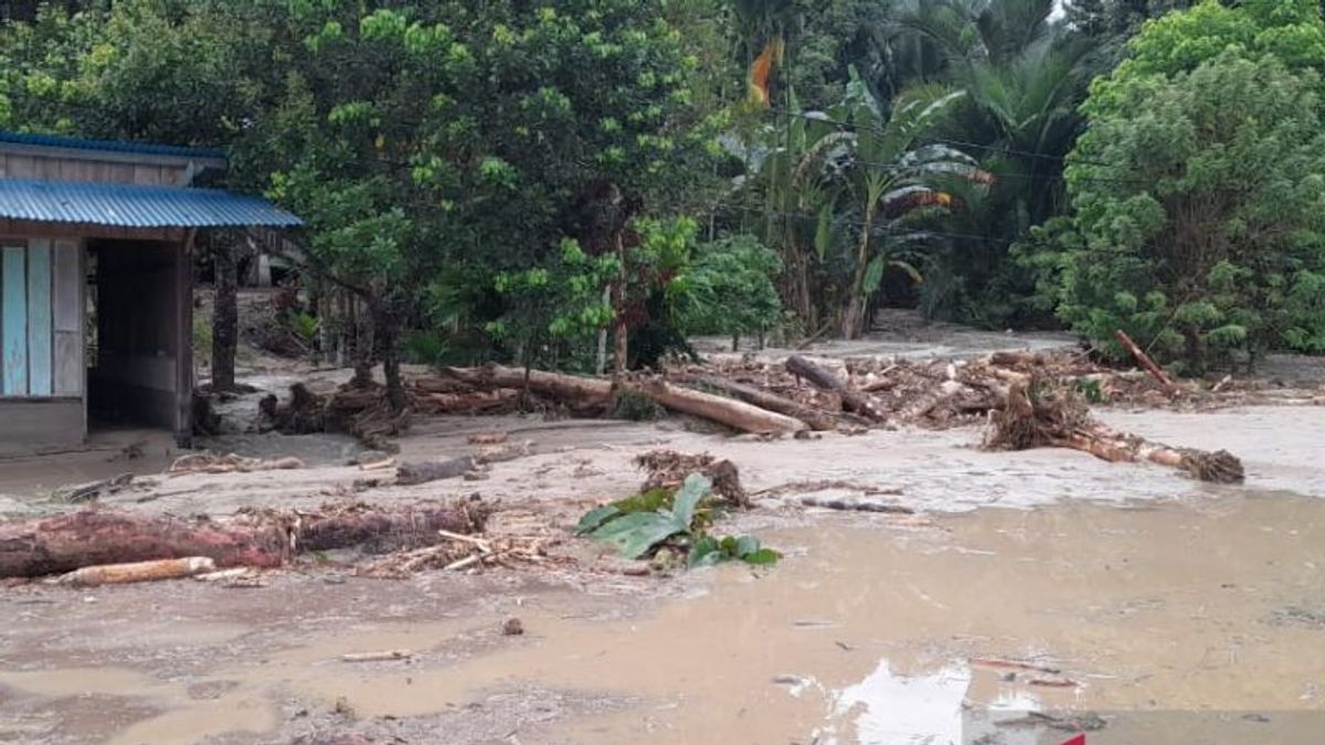 Berkaca Banjir Bandang di Papua Barat, BPBD Teluk Wondama: Tidak Ada Peralatan, Butuh Eskavator dan Gergaji Mesin