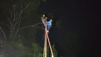 松巴哇岛的电网受极端天气影响，PLN准备新的电线杆建设