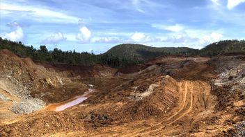 DPR Desak Pemerintah Cabut Izin 3 Perusahaan Tambang yang Diduga Rusak Raja Ampat