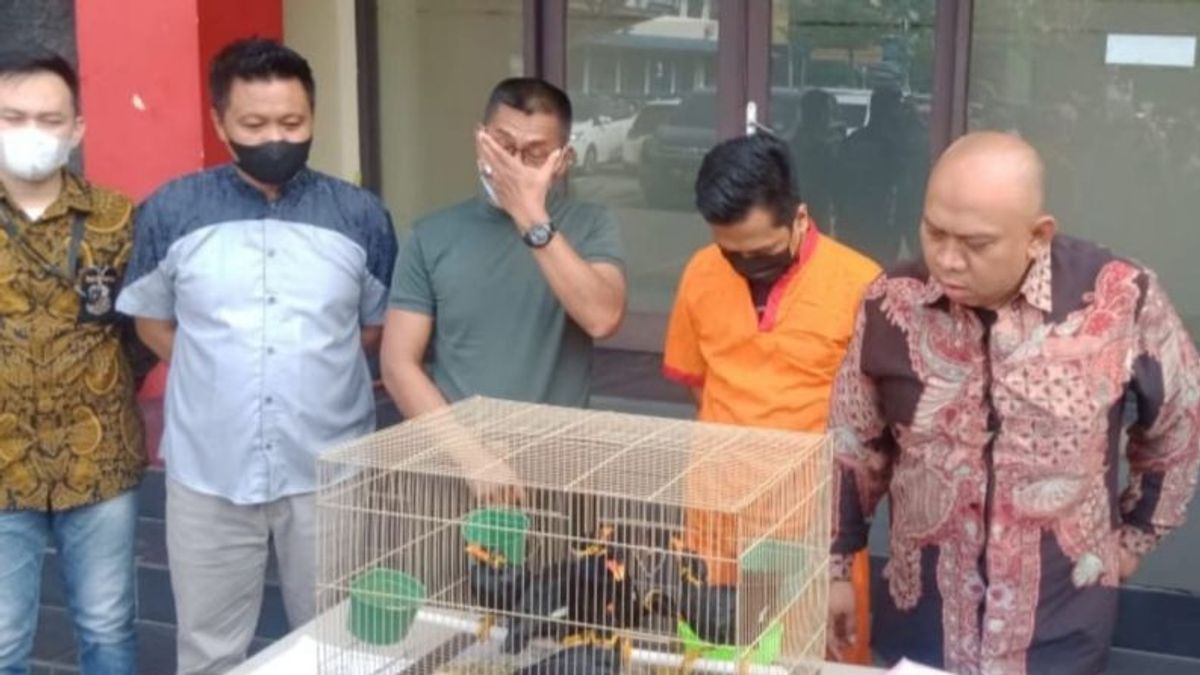 Police Arrest Nias Beo Sellers In Palembang