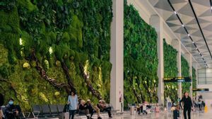Bandara Soetta Duduki Peringkat 22 Bandara Terbaik di Dunia Versi Skytrax 2026
