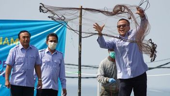 KKP dan DPR Sepakat Cabut Sementara Izin 14 Eksportir Benih Lobster yang Bandel