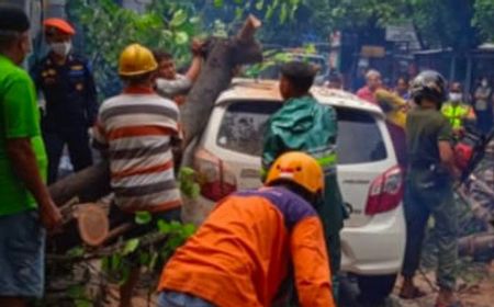 Hujan Lebat Sebabkan Sejumlah Pohon di Yogyakarta Tumbang Timpa Mobil