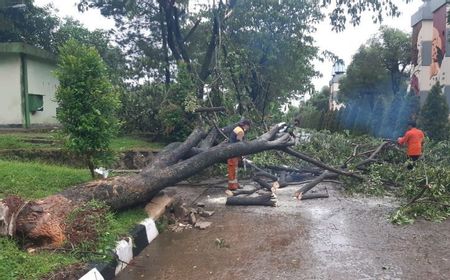 BPBD: Hujan Deras Sebabkan 25 Titik Bencana di Kota Bogor