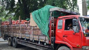Penyelundupan 30 Ton Bawang Bombai Digagalkan di Kalbar, Bakal Dikirim ke Jakarta
