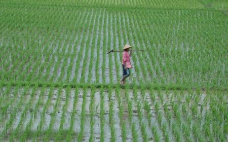 Pupuk Kaltim Bangun Kawasan Pertanian Modern di Kalimantan Timur