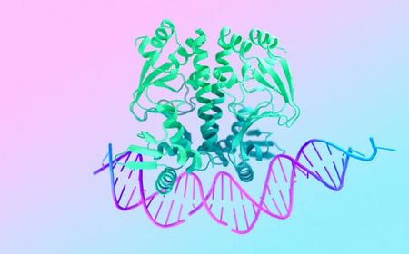 DeepMind Rilis Versi Ketiga Model AI 