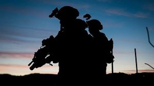 Komisi I DPR Kecam Penangkapan Aktivis Kemanusiaan oleh Pasukan Israel