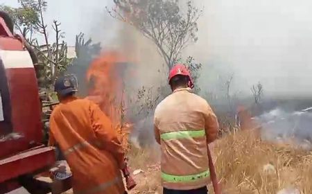 Damkar Lampung Selatan Tangani 4 Kebakaran Lahan