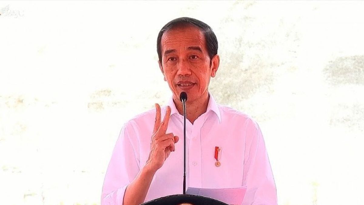 Jokowi Minta Percepat Pengembangan Mobil Listrik Tanah Air