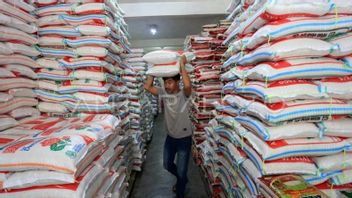 Getting Many Reports, DPRA Asks Bulog To Clarify Allegations Of Plastic Rice In Aceh