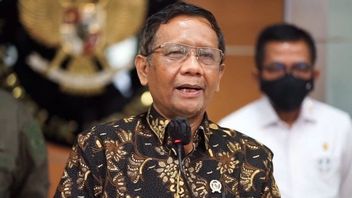 Pemerintah Siapkan Alternatif Cegah Kekosongan Pemerintahan di Papua