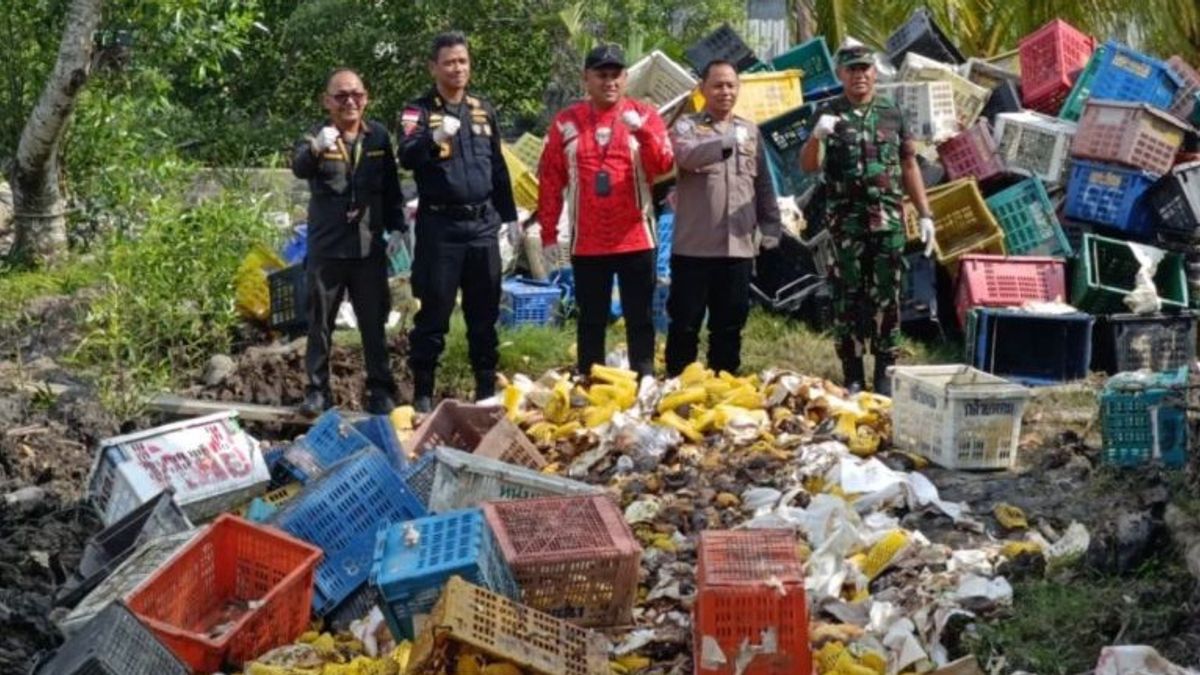 Riau : 25,9 tonnes de manguille illégale de Thaïlande